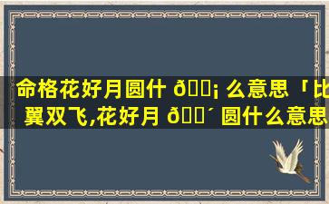 命格花好月圆什 🐡 么意思「比翼双飞,花好月 🌴 圆什么意思」